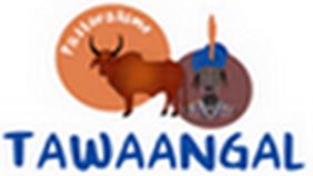 tawaangal